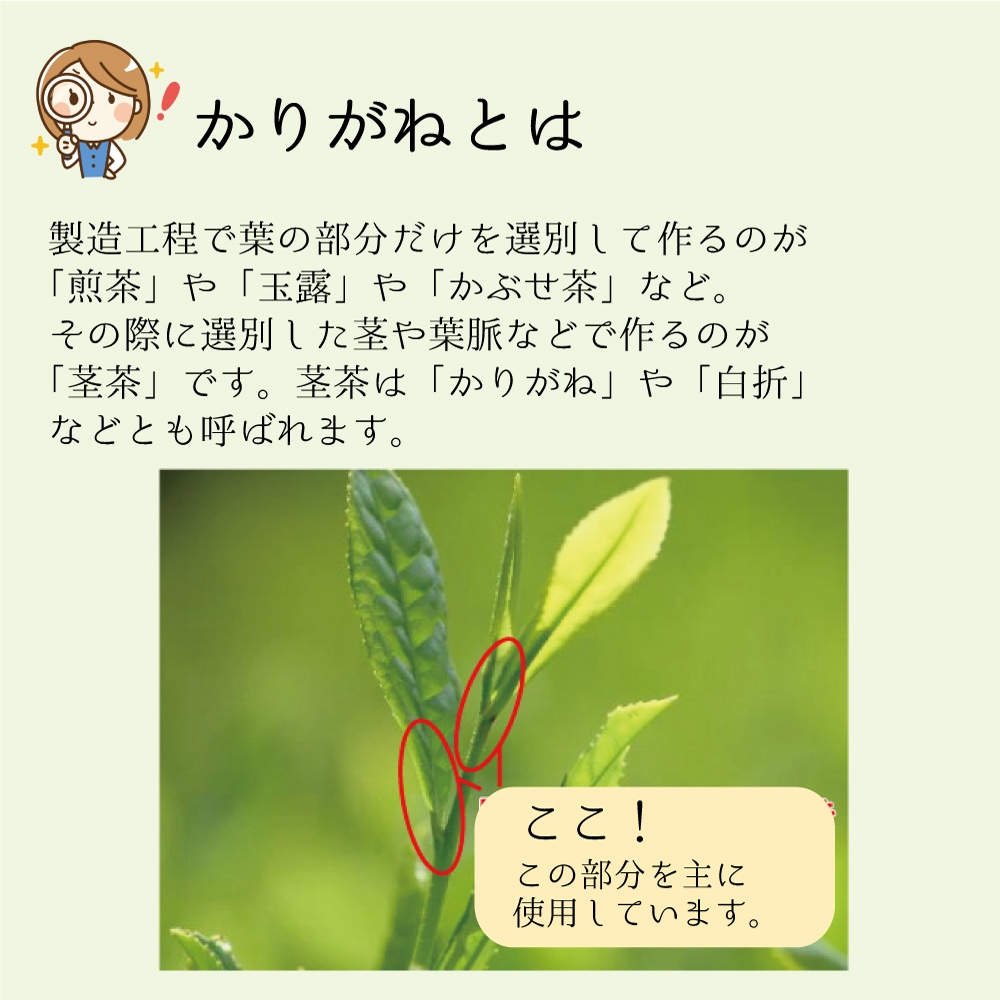 ꤬ͥƥХå(޿ܡФξѡ5g38ѥå Ťߤζ ̣ʬߥλäϪ̣ڤ˳ڤڥ᡼̵ۡ