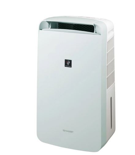 20_000000008020.jpg?1759734136