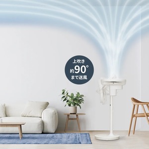 SHARP シャープ プラズマクラスター扇風機 PJ-T3DS-W ホワイト系  [PJT3DSW] 