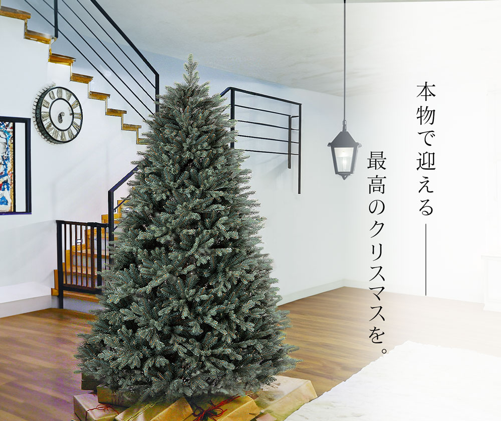 CLAREX DEEPGREEN(クラレックス ディープグリーン) ポーランド製 高級