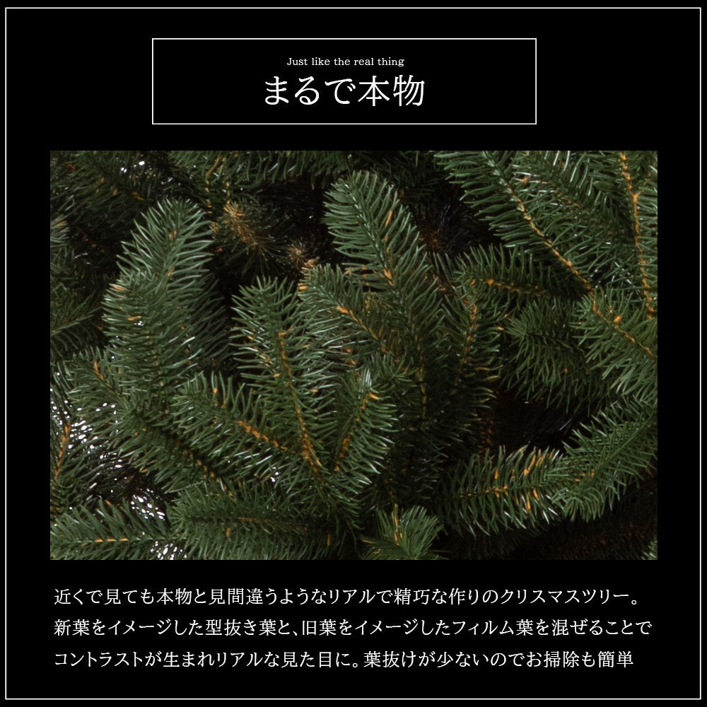 CLAREX SOSNA (クラレックス ソスナ) ポーランド製 高級 クリスマス