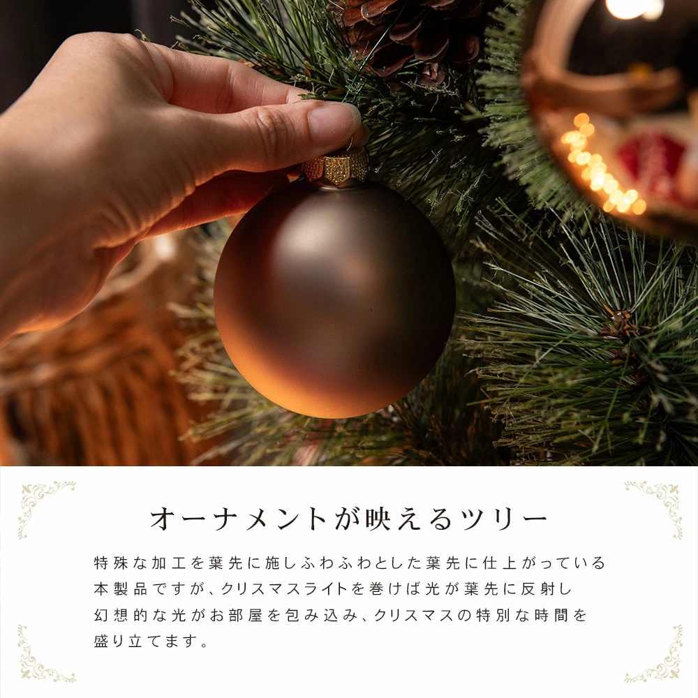 CLAREX SPRUCE(クラレックス スプルース) ポーランド製 高級