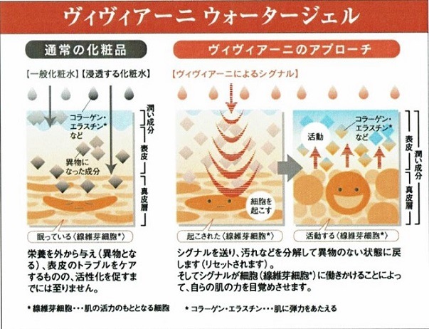 ڥåȤϥݥȣܡۡĥäRefreshˣåȡʣ롦եޥ ȩ 