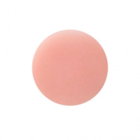 FantasyNails サロンパウダー カムフラージュ