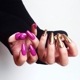 Sazalea カラージェル MEGUNAIL Collection 6色セット