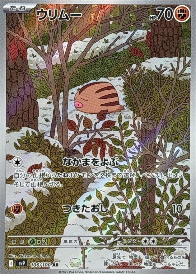 ポケモンカード,AR・CHR | トレカサンライズオンラインストア