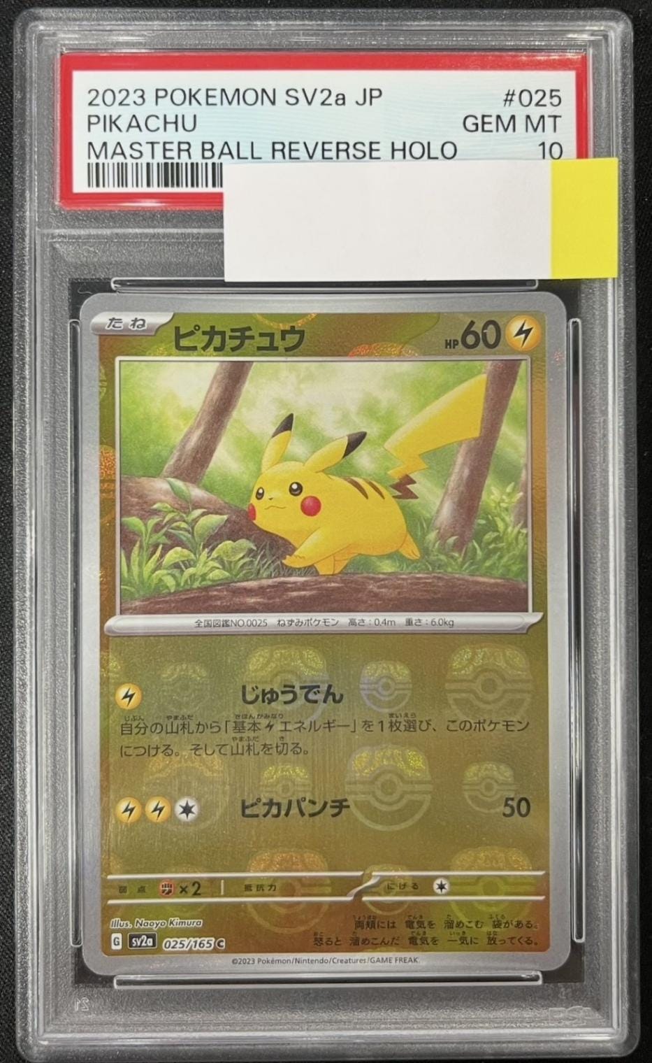 多種多彩サリー　sp psa10 PSA10】ピカチュウ＆ゼクロムGX SR 101/095の通販 土日祝休@magi