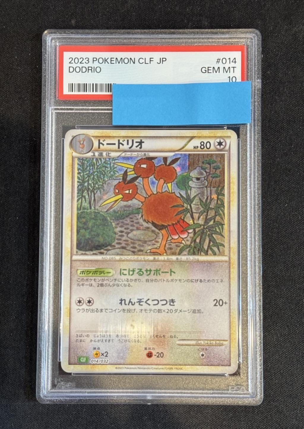 鑑定品 | トレカサンライズオンラインストア