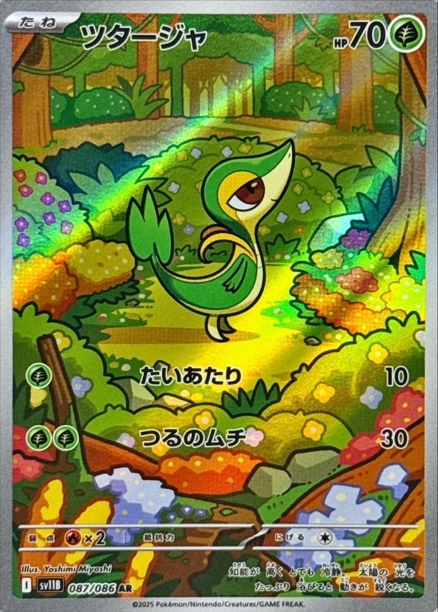 ポケモンカード,AR・CHR | トレカサンライズオンラインストア