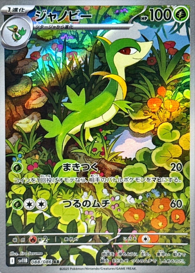 ポケモンカード,AR・CHR | トレカサンライズオンラインストア