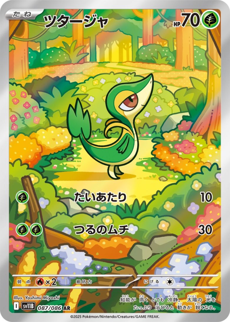 ポケモンカード,AR・CHR | トレカサンライズオンラインストア