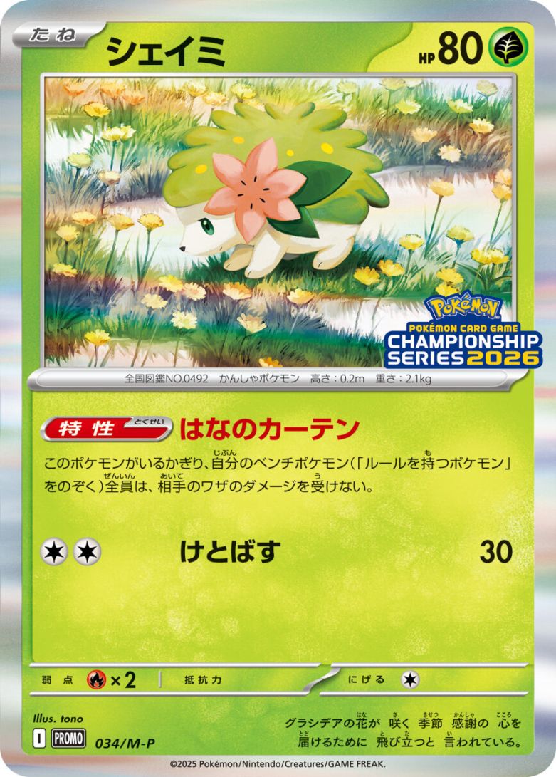 ポケモンカード,プロモ・未開封 | トレカサンライズオンラインストア