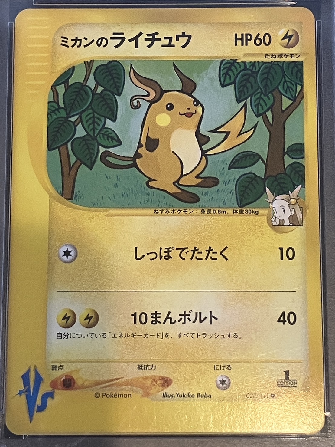 ミカンのライチュウ PSA10 vs 商品の状態: 【公式通販】