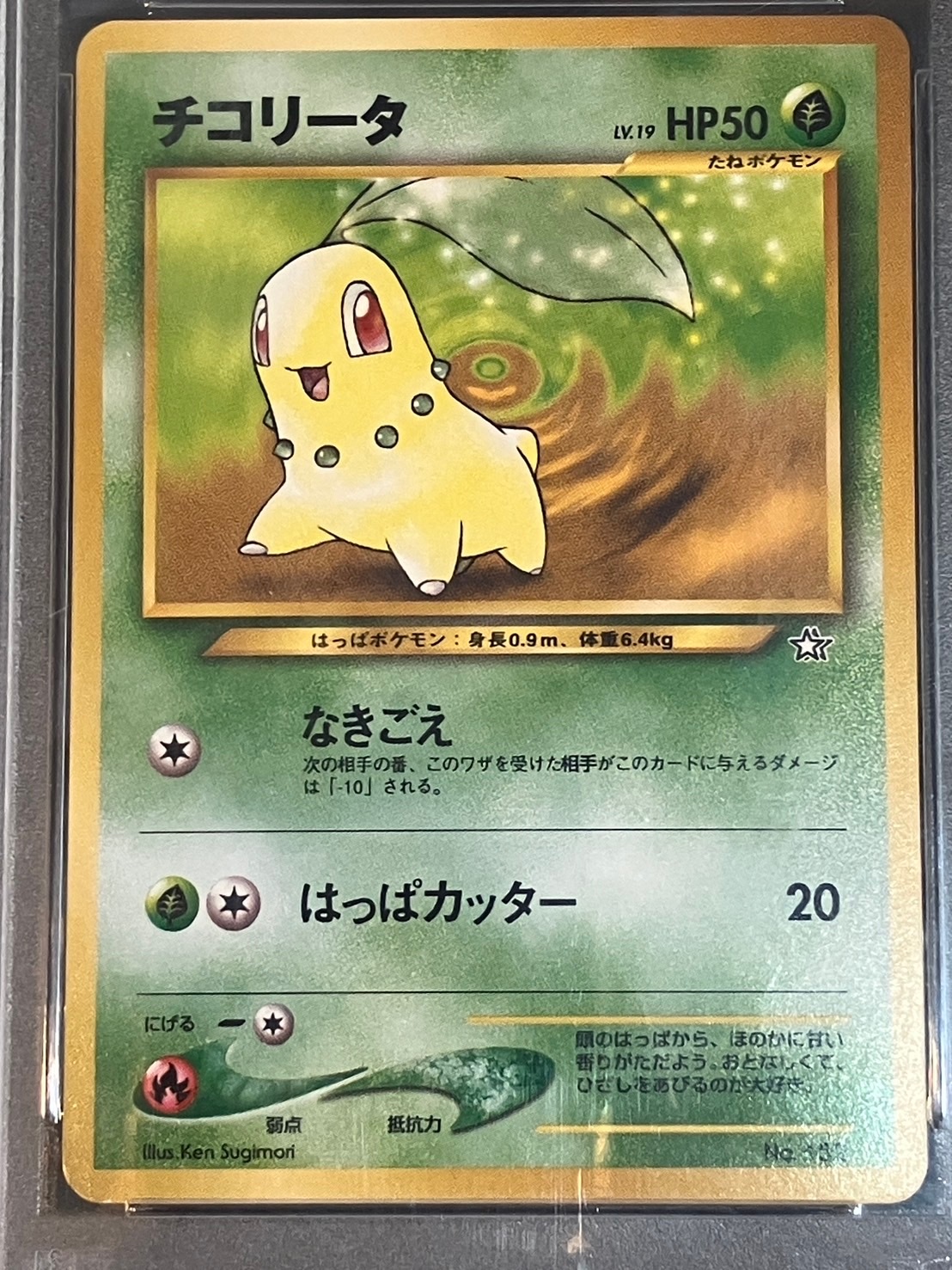 PSA10】【旧裏】チコリータ進化ラインセット