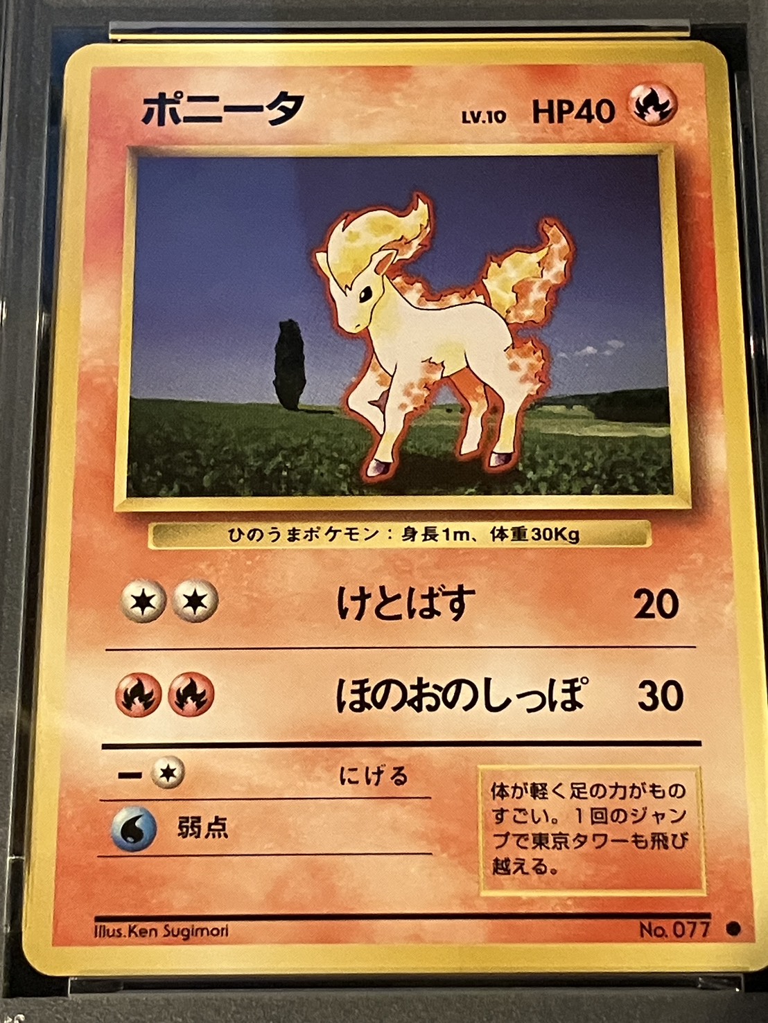 PSA10】【旧裏】【マークあり】ポニータ