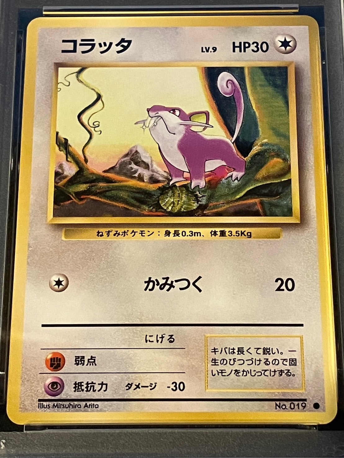 PSA10】【旧裏】【マークあり】コラッタ