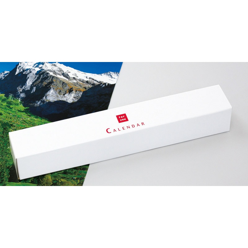 TD-4131<br>発送用ボックス（横幅430mmまで）