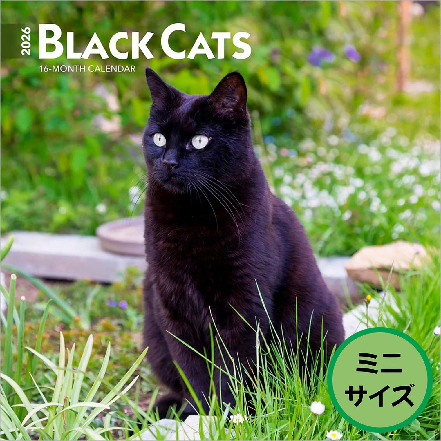 送料無料！輸入版 / 2026年版<br>黒猫 ミニカレンダー / ブラウントラウト<br>【クリックポスト対応／代引き不可】