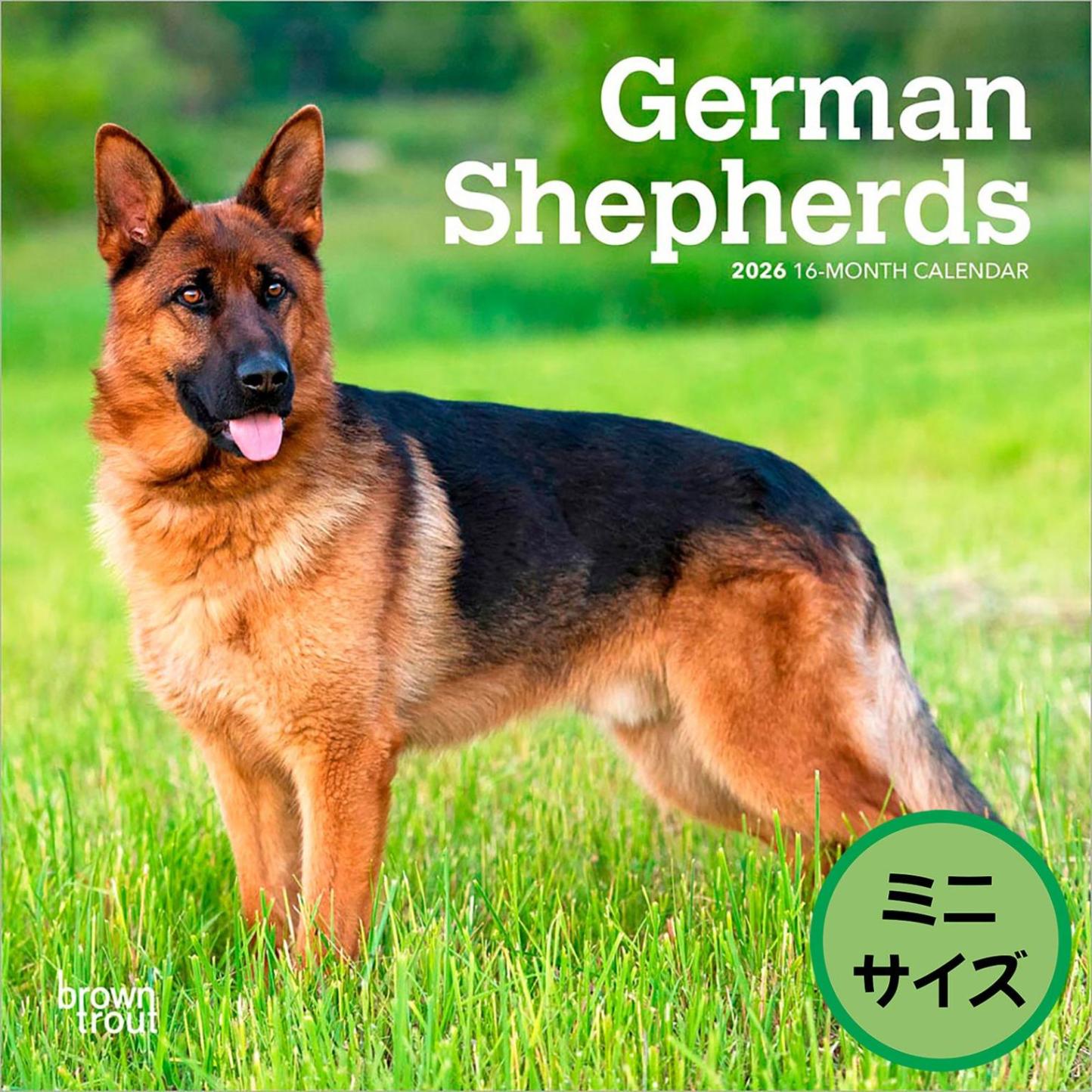 送料無料！輸入版 / 2026年版<br>ジャーマン・シェパード ミニカレンダー / ブラウントラウト<br>【クリックポスト対応／代引き不可】