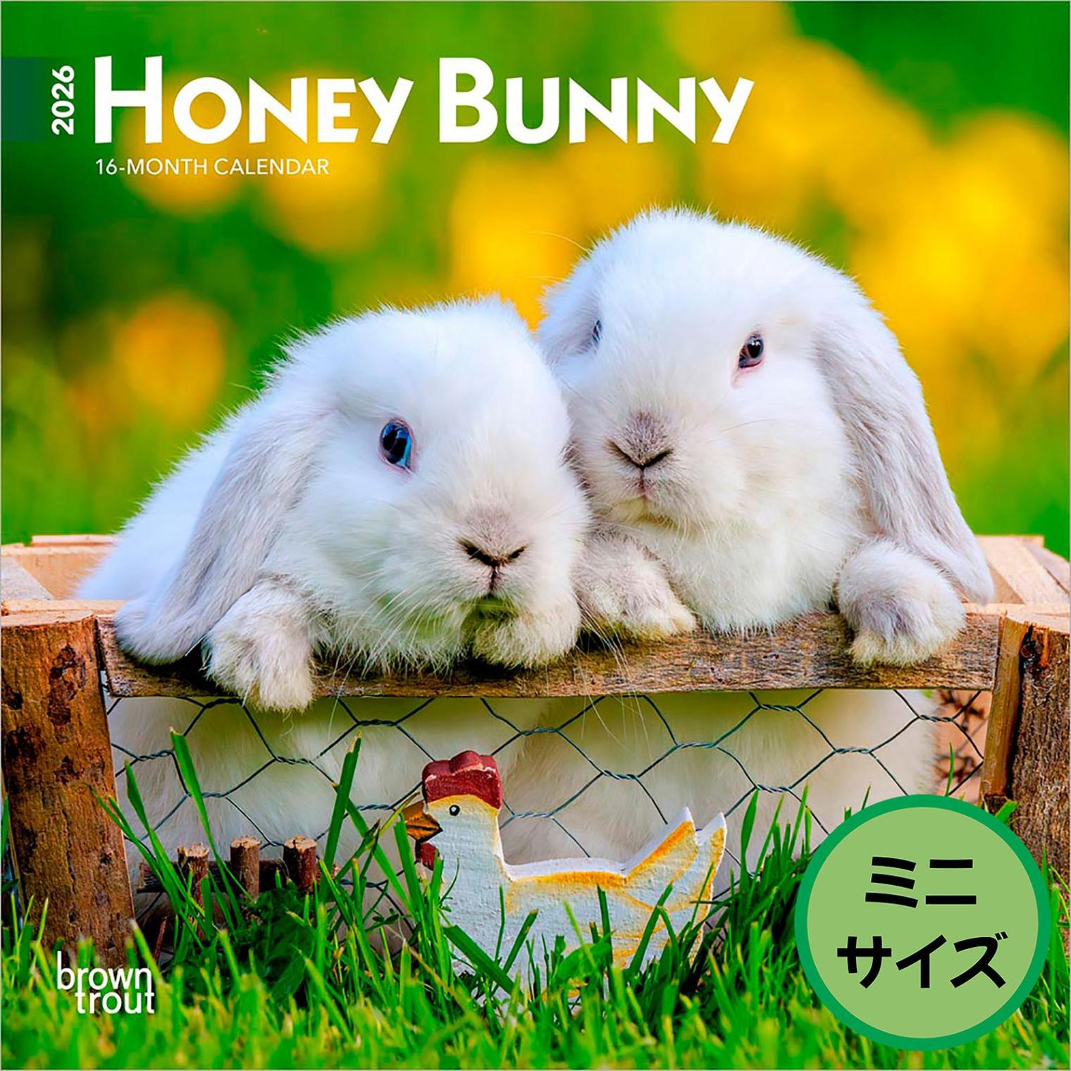 送料無料！輸入版 / 2026年版<br>うさぎ ミニカレンダー / ブラウントラウト<br>【クリックポスト対応／代引き不可】