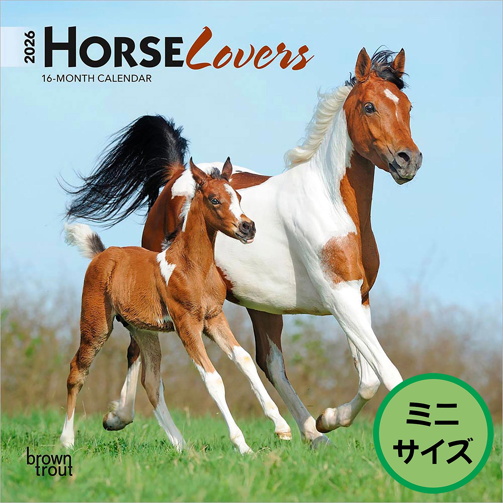 送料無料！輸入版 / 2026年版<br>馬 ミニカレンダー / ブラウントラウト<br>【クリックポスト対応／代引き不可】