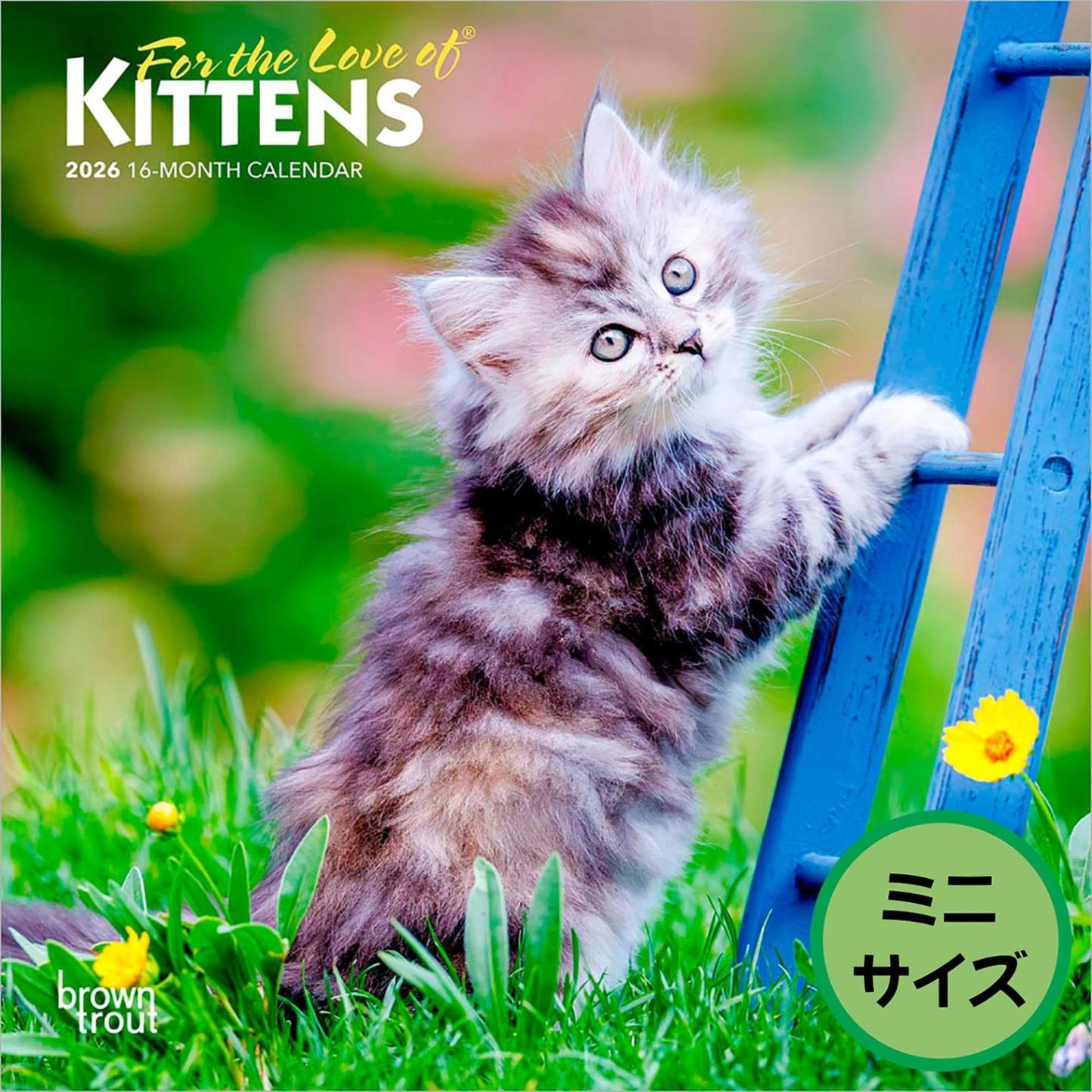 送料無料！輸入版 / 2026年版<br>こねこ カレンダー / ブラウントラウト<br>【クリックポスト対応／代引き不可】