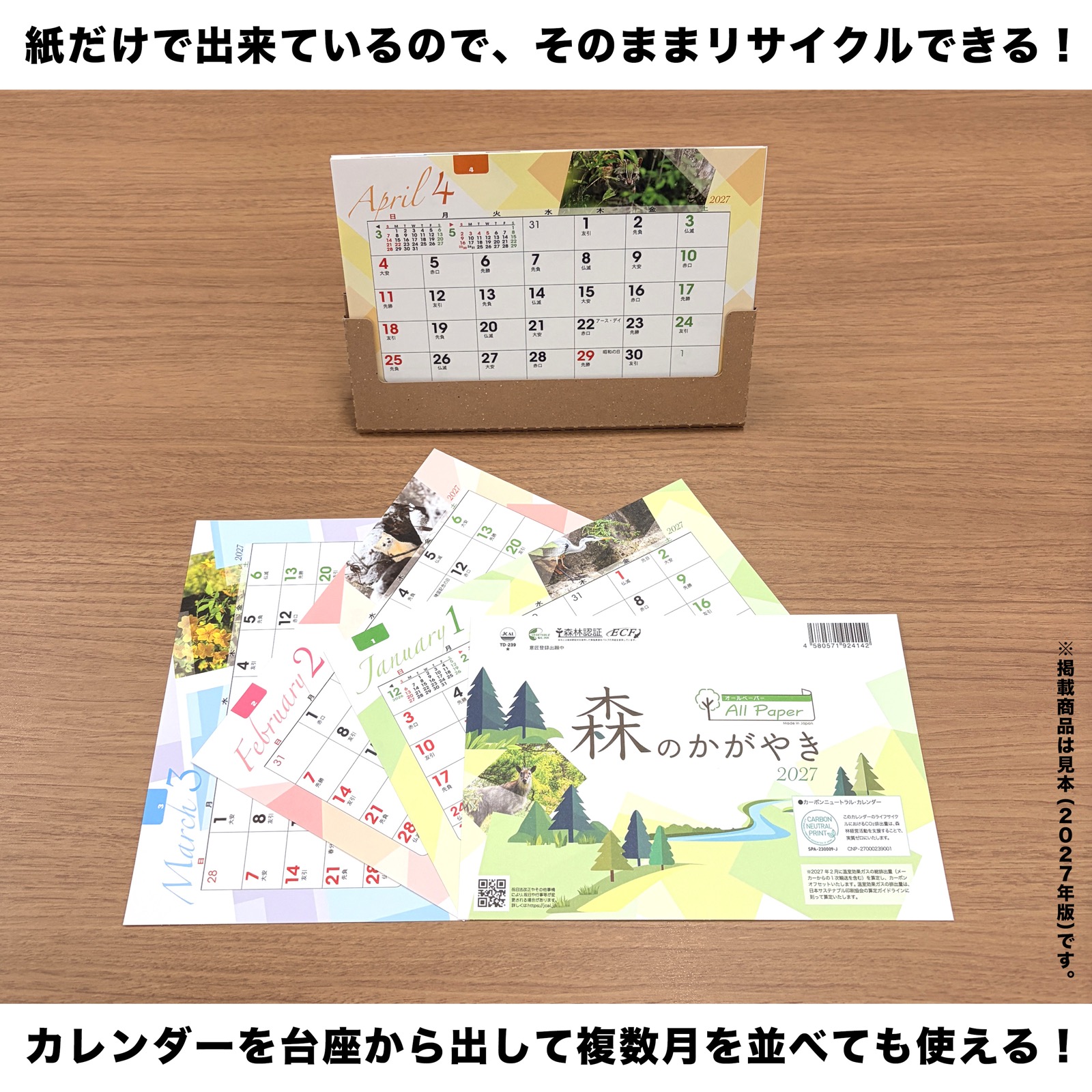 TD-239(2027年版)<br>卓上オールペーパー・森のかがやき<br>【クリックポスト対応/代引き不可】