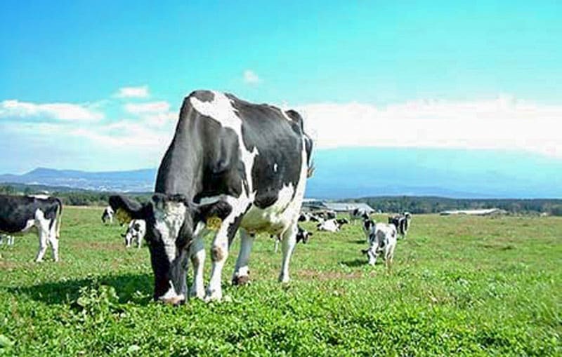 生産者さん(背景)の画像