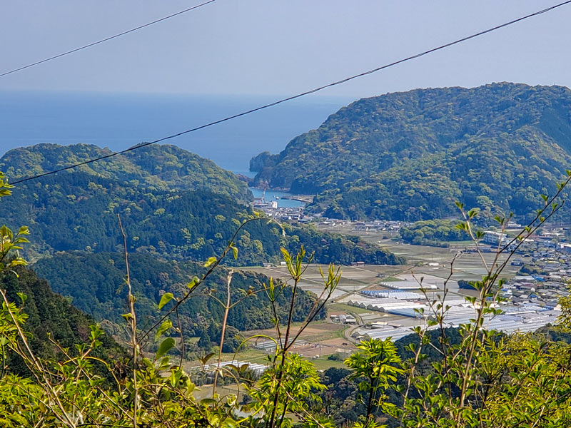生産者さん(背景)の画像