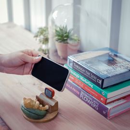 ��ȥ�ǭ�Υ��ޥۥ������