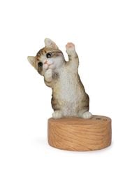 ���󥷥󥰥����ȥ���ǭ�Υ��ޥۥ������