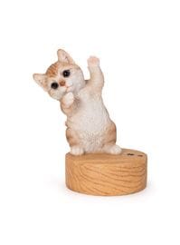 ���󥷥󥰥ߥ륯�ƥ���ǭ�Υ��ޥۥ������