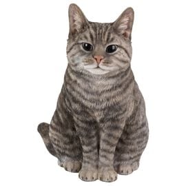 ֥ƥå奷硼ȥإ ˥塼֥饦