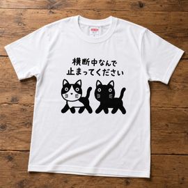 �����桡�ۥ磻��T����� ��Ⱦµ��