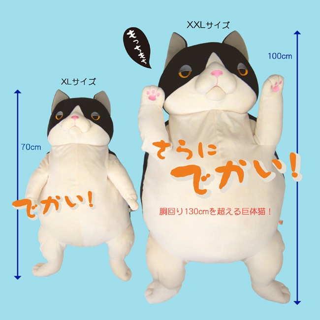 ����ͤ���������XXL
