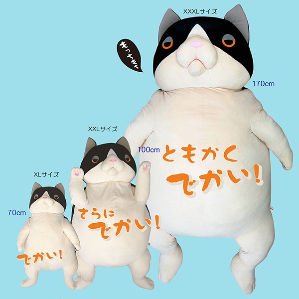 ����ͤ���������XXXL���ϥ����ʹ���