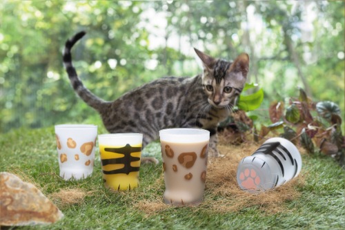 coconeco�ʥ��饹�� �ƥҥ祦