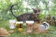 coconeco�ʥ��饹�� �ƥҥ祦