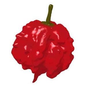 ڶˤߡƻֲб25ɡ4祢ߥѥۡʥ֡ȥ100ɰ̣ɻҡ