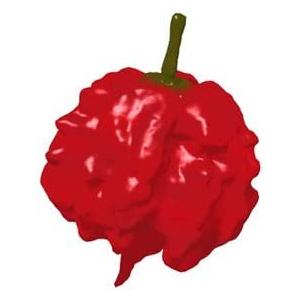 �ˤߡ����ƻ��Ķ��ɥ顼�����ڿɤ�77�ܡ�