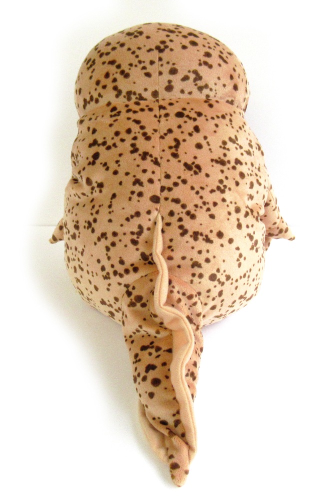 ����������󤷤礦������L������