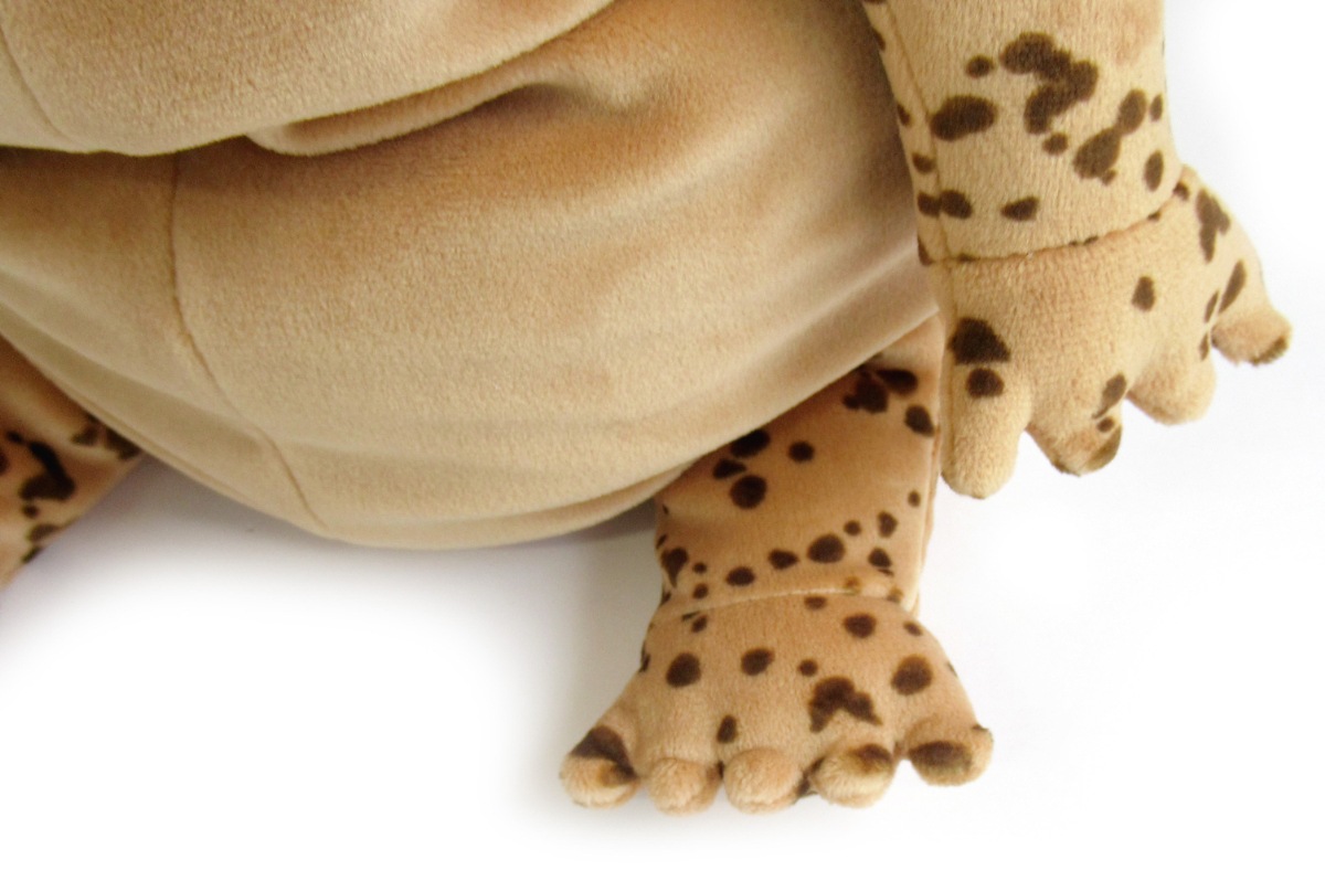 ����������󤷤礦������L������