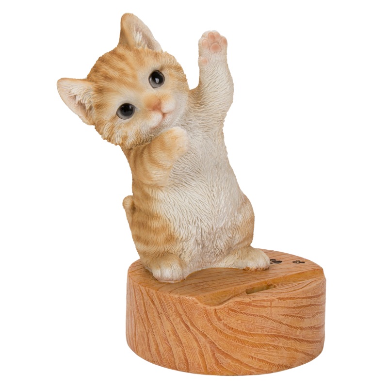 ���󥷥���ȥ�ǭ�Υ��ޥۥ������