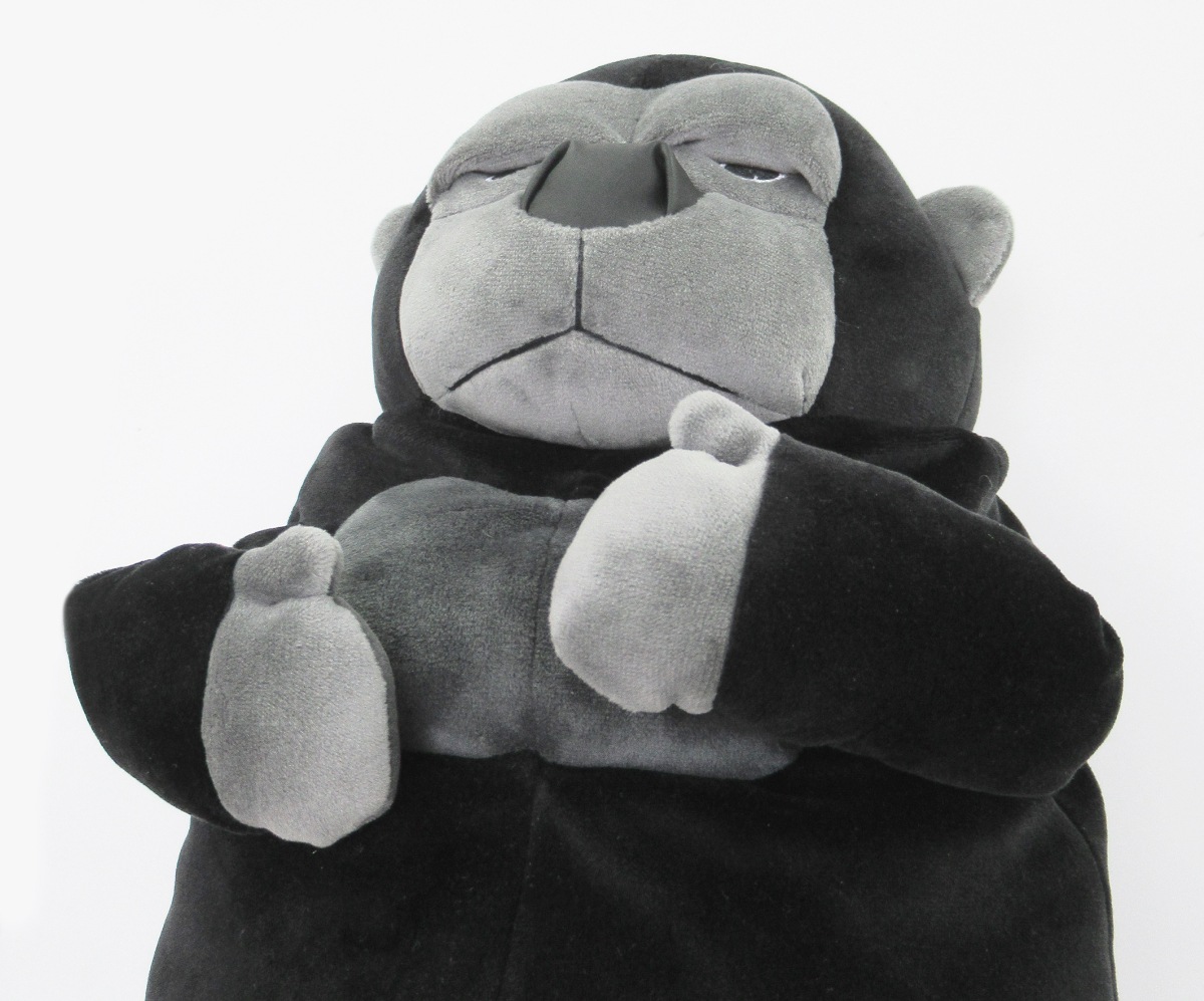 ������ꡡL������