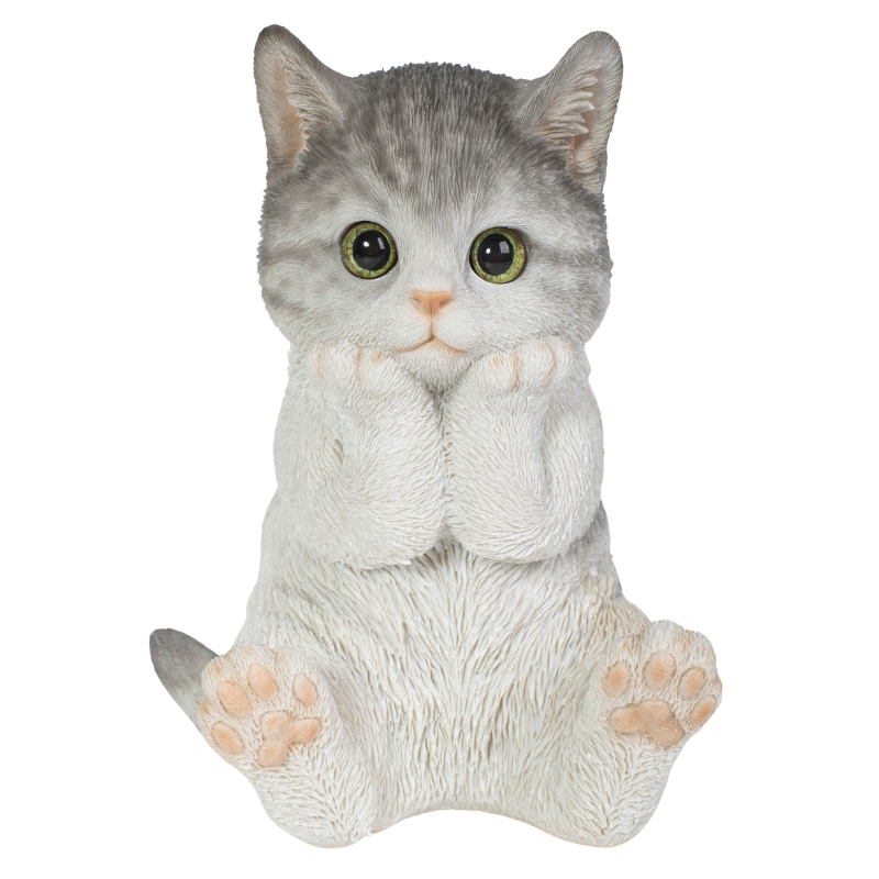 �˾��Ĥ����Хȥ���ǭ