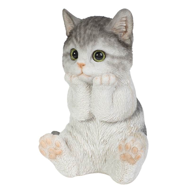 �˾��Ĥ����Хȥ���ǭ