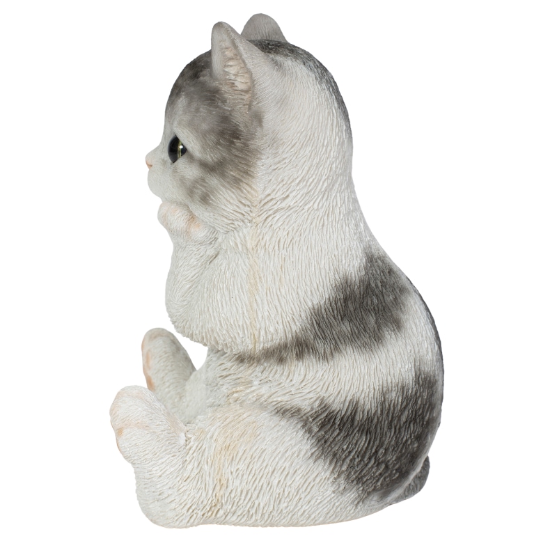 �˾��Ĥ����Хȥ���ǭ