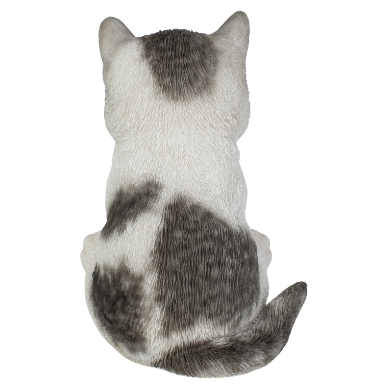 �˾��Ĥ����Хȥ���ǭ