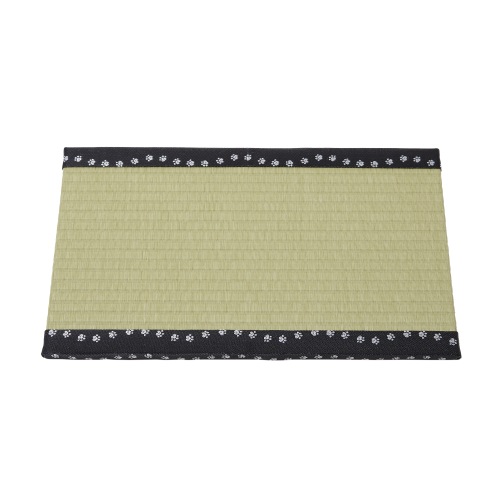 ¤ˤʤ롡˥ 򿧡ʱ