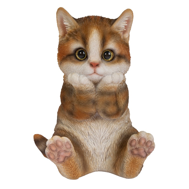 �˾��Ĥ������ȥ���ǭ